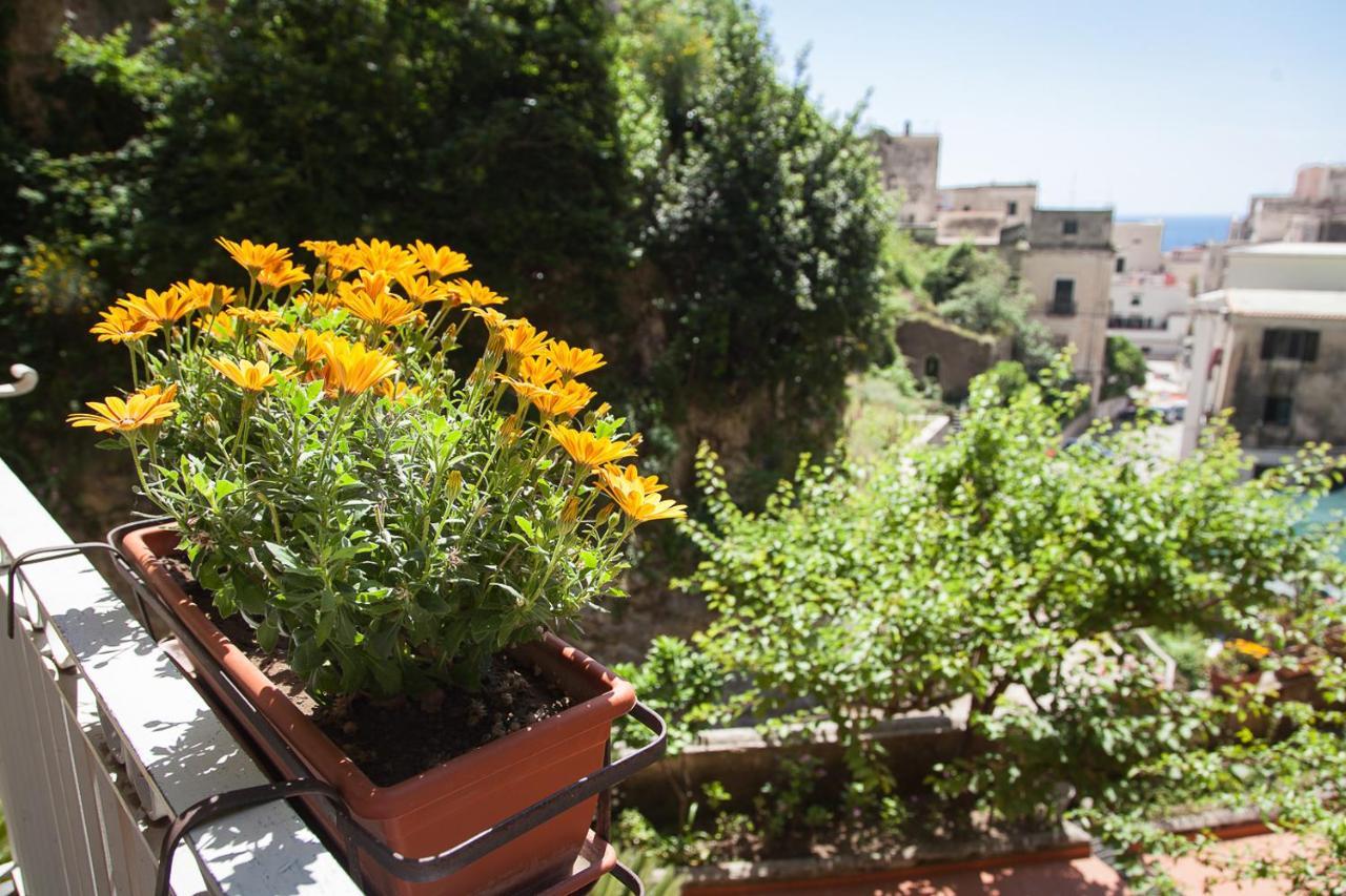 L'argine Fiorito Hotel